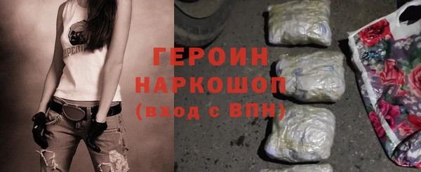 индика Ельня
