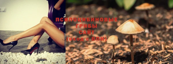 молекула духа Елабуга