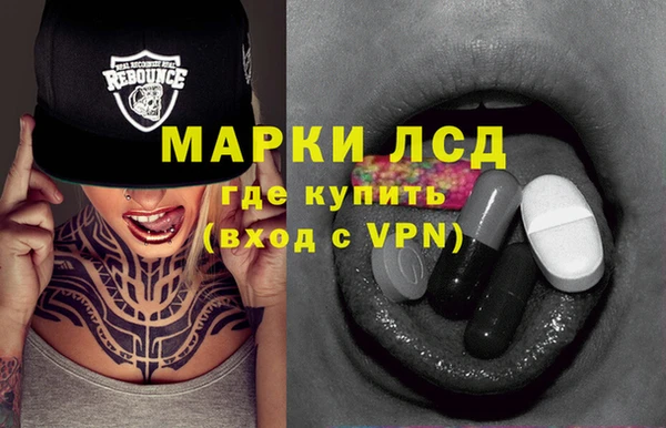 индика Ельня