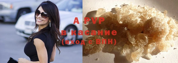 индика Ельня