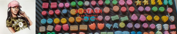 индика Ельня