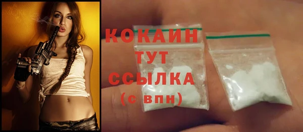 молекула духа Елабуга