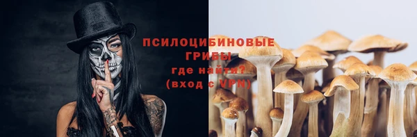 Альфа ПВП Дмитриев