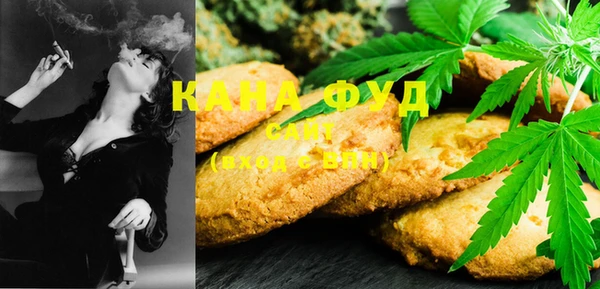 индика Ельня