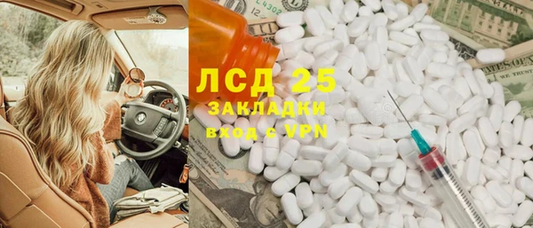 индика Ельня