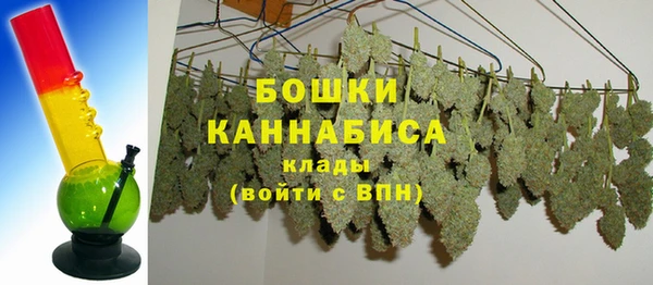 молекула духа Елабуга