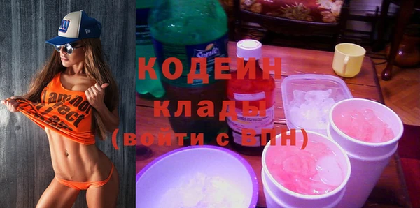 молекула духа Елабуга