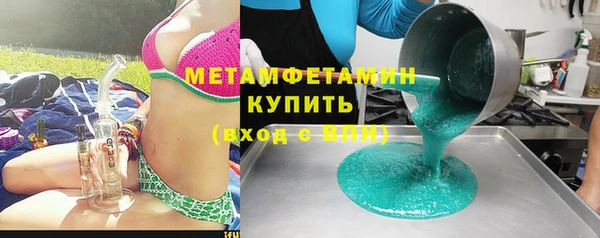 индика Ельня