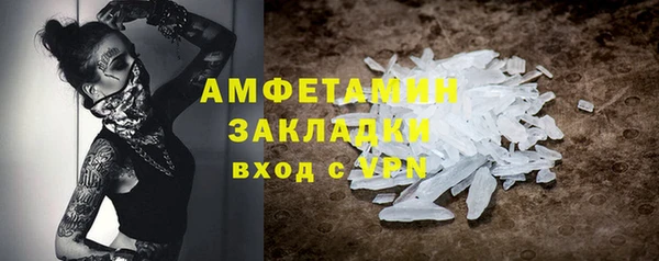 индика Ельня