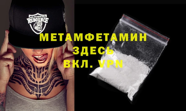 индика Ельня