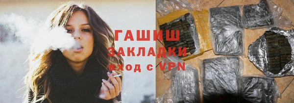 индика Ельня