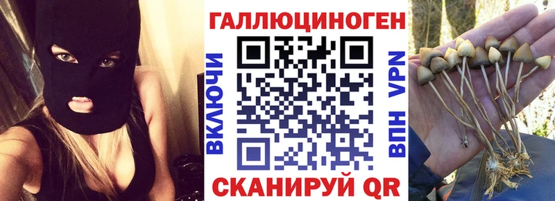 Галлюциногенные грибы Cubensis Серпухов